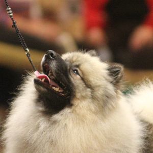 Meet your Posher, Deb